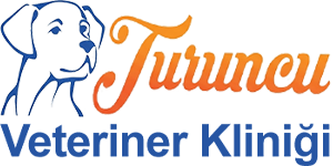 Turuncu Veteriner